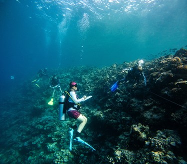 Reef Check 2025